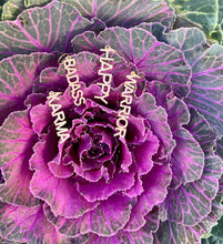 Load image into Gallery viewer, 14kg White Diamond Karma Pendant