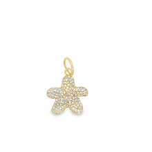 Load image into Gallery viewer, 14kg Petite Star Fish
