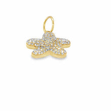 Load image into Gallery viewer, 14kg Petite Star Fish
