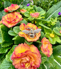 Load image into Gallery viewer, 14kg and White Diamond Bee Pendant
