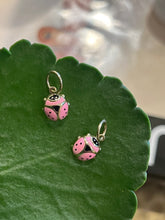 Load image into Gallery viewer, 14kg and Pink Enamel lady bugs
