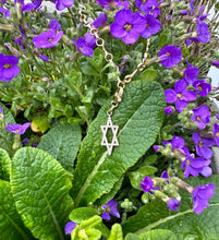 Load image into Gallery viewer, 14kg and White Diamond Elongated Star of David
