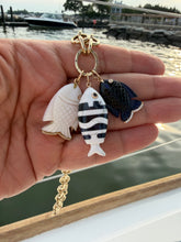 Load image into Gallery viewer, 14kg Diamond FISH
