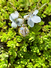 Load image into Gallery viewer, 14kg and White Diamond Lady Bug
