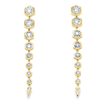 Load image into Gallery viewer, 14kg Diamond Hexagonal Cascade Earrings
