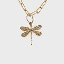 Load and play video in Gallery viewer, 14kg Dragonfly Pendant
