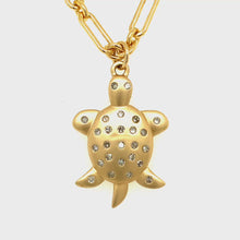 Load and play video in Gallery viewer, 14kg and Diamond Turtle Pendant
