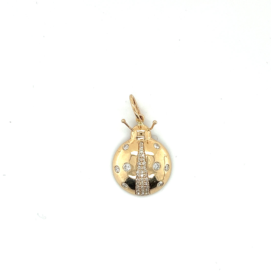 14kg and White Diamond Lady Bug