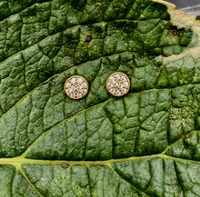 Load image into Gallery viewer, Gold Pave Studs
